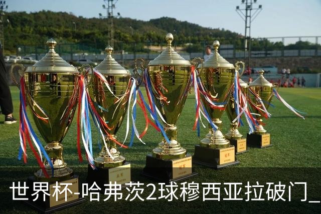 世界杯-哈弗茨2球穆西亚拉破门 德国全面开花7-1库拉索